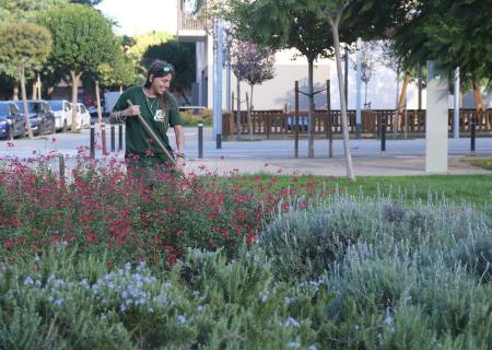 L’Ajuntament inicia un pla de renovació i replantació d’arbrat i zones verdes adaptat a la situació climàtica actual