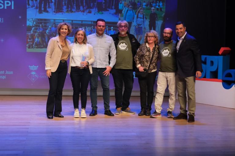 Premis DespíEsport 2024