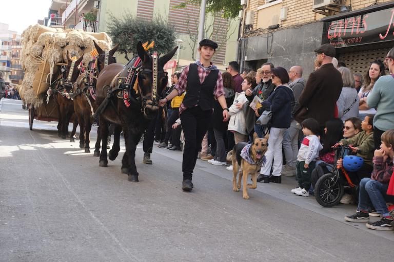 Festa Tres Tombs 2024