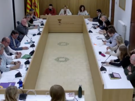 Ple febrer 2025